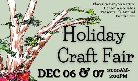 Placerita Holiday Craft Fairecrop