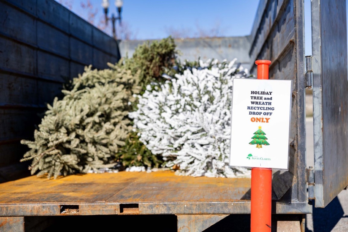 Holiday Tree Recycling (Medium)