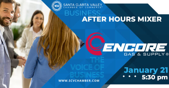 Chamber mixer Encore Gas and suppuly