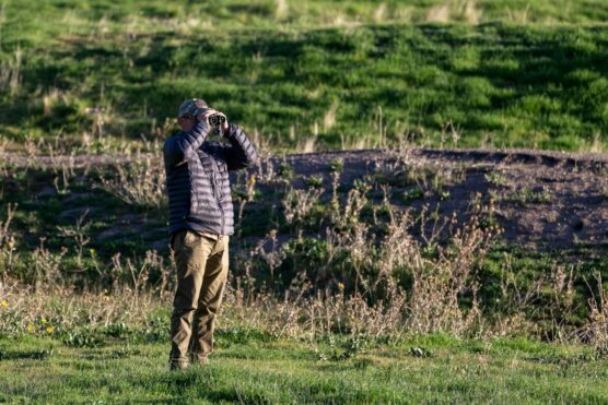 Tejon Ranch birdwatching