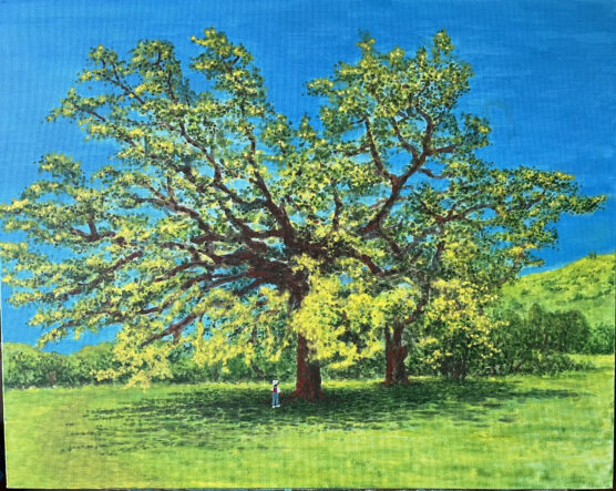 Valencia Library Oak Tree at Cheeseboro Park