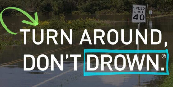 turn-around-dont-drown_crop